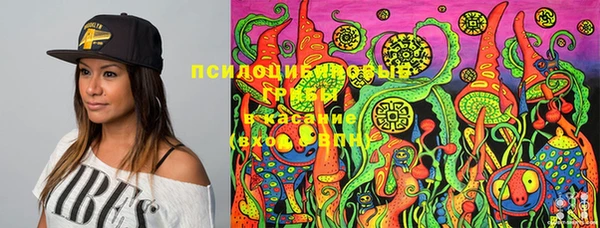 прущие крисы Алзамай