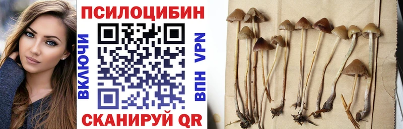 Галлюциногенные грибы Psilocybine cubensis  цены   Новый Оскол 